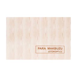 Dilman Para Makbuzu Otokopili 2/50 2 Nüsha Dilman Para Makbuzu Otokopili 2/50 2 Nüsha