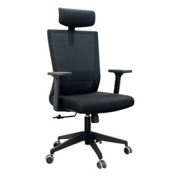 Hanger Fileli Müdür Koltuğu için detaylı bilgi göster Hanger Fileli Müdür Koltuğu resmi