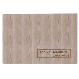 Dilman Tediye Makbuzu Otokopili 2/50 3 Nüsha Dilman Tediye Makbuzu Otokopili 2/50 3 Nüsha