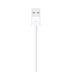 Apple USB-A To Lightning Kablo 1m  resmi