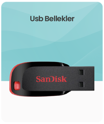 USB Bellekler kategorisi için resim